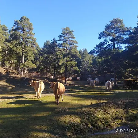 منزل ريفي Puerta Del Maestrazgo