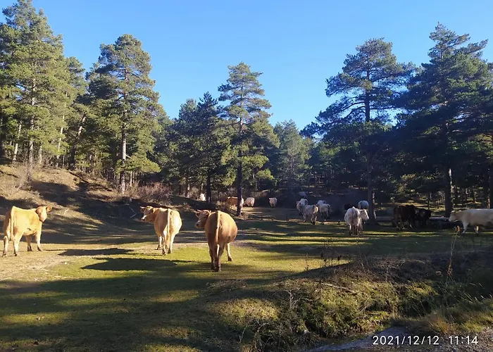乡村民宿 Puerta Del Maestrazgo